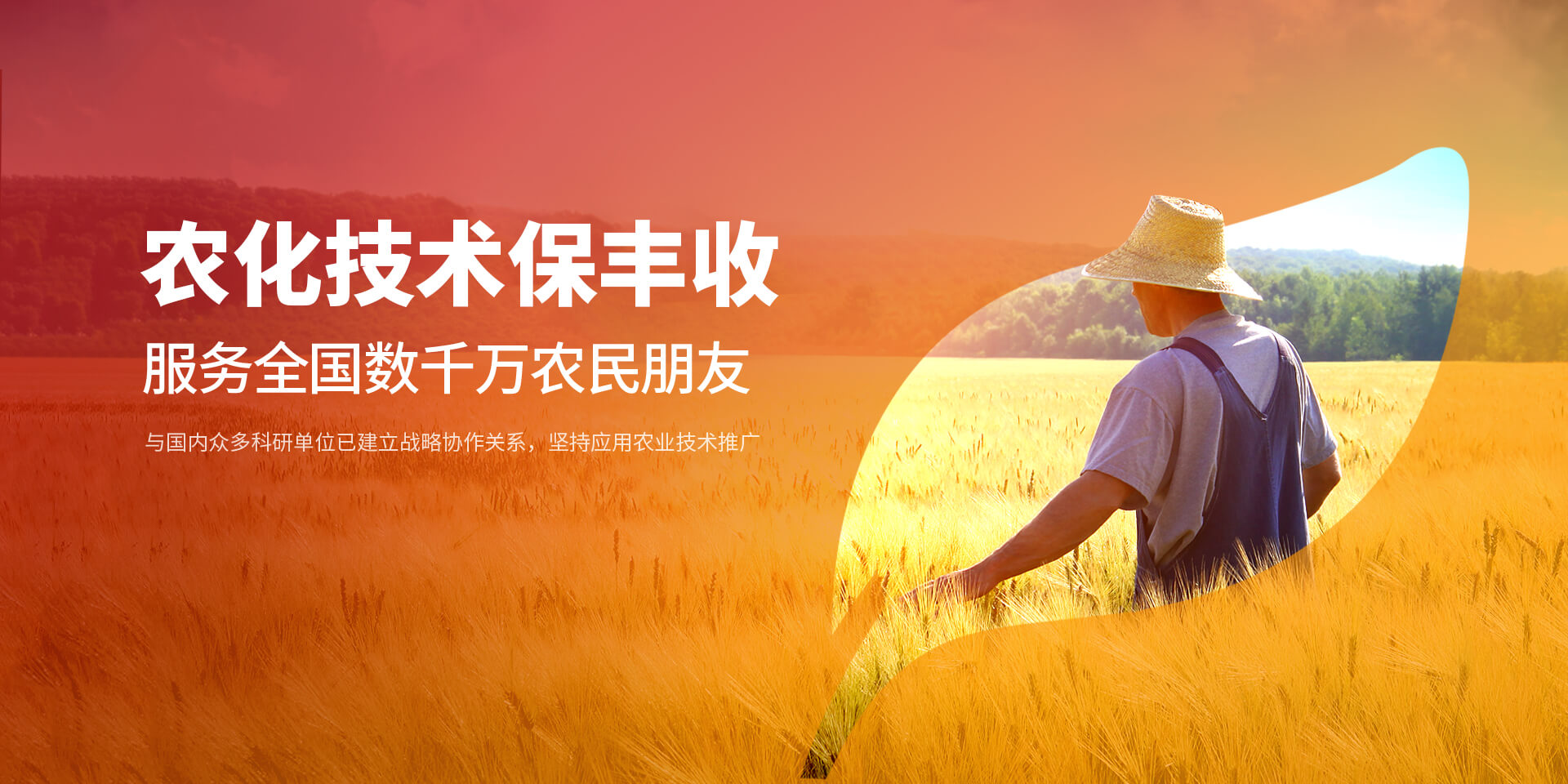 安阳糖心视频在线播放网新肥科技有限公司